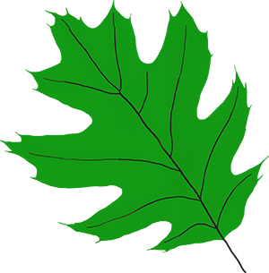 leafsmall